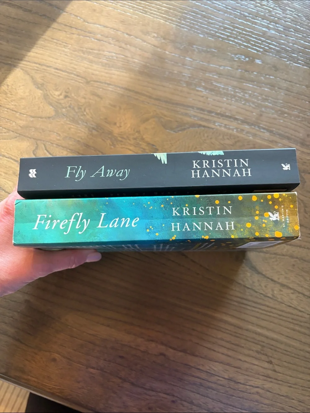 Kristin Hannah Firefly Lane and Fly Away Book Bundle